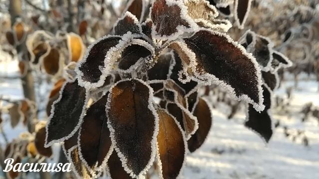 31 января народный праздник Афанасьев День. Что нельзя делать. Народные традиции и приметы.