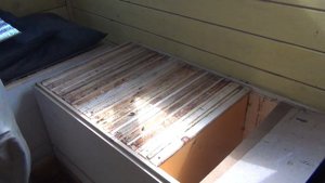 апи домик 20 05