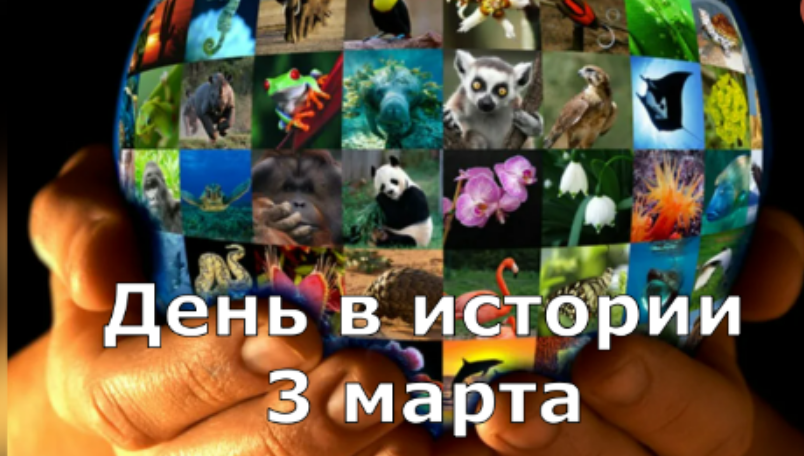 3 марта. День в истории. смотреть онлайн