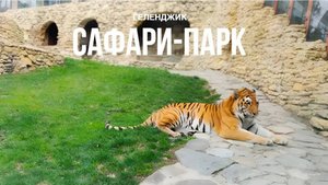 САФАРИ-ПАРК в г. Геленджике