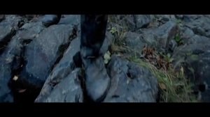 А зори здесь тихие... (2015)