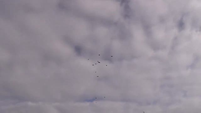 СВГ 2. 03. 2021 г смотреть онлайн