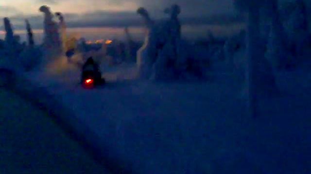 Прогулка на снегоходе по загадочному и красивому лесу смотреть онлайн