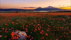 3659-из Гарыныч ВЕТЕР-Собственность Господа!-Հարի է Վանը