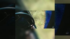 паша пэл (Песня я бы уплыла в окиан)