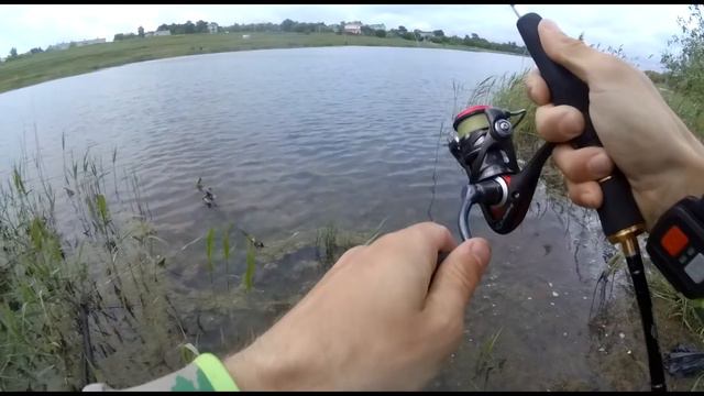 Огромный карп клюнул на микроджиг смотреть онлайн