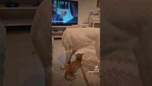 Песенка маме на день Рождения ?❤️