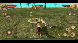 100 бесплатных ВЗЛОМАННЫХ АККАУНТОВ в CAT SIM (на уровень, бессмертие, скорость, монеты) Hack
