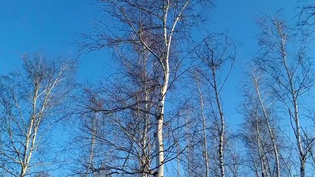 16 апреля-ДЕНЬ НИКИТЫ.Тяжелый день.Праздник водяного.Запреты о воде.Народные приметы