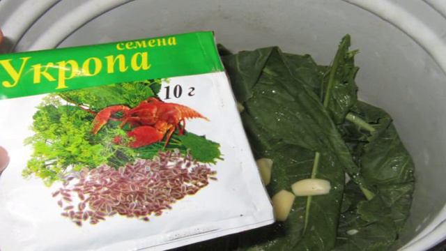 Огурцы соленые