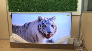 Телевизор Xiaomi Mi TV 6 Extreme Edition 65 диагональ 