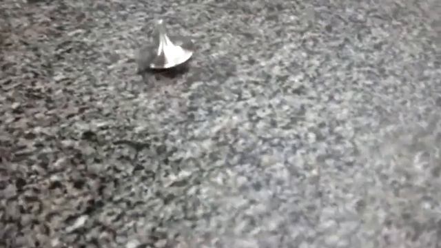 Longest Spin on you Tube--New record, Inception spinning Top, Mini Totem смотреть онлайн