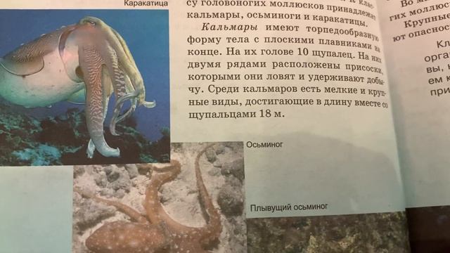 Биология/7 кл/ Класс Головоногие моллюски/16.12.21 смотреть онлайн