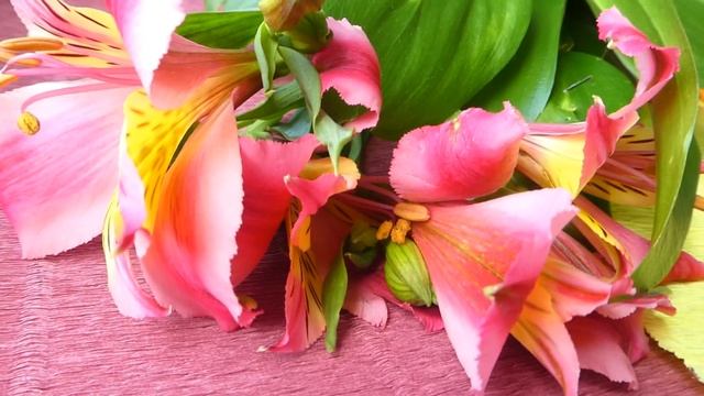 Моей любимой мамочке. С любовью самые красивые стихи.