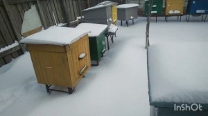 Улей на 12 рамок (сделал сам)