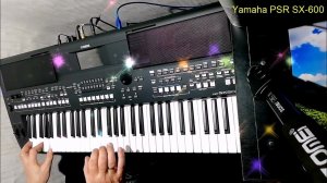 Rolf Lovland  Адажио. Таинственный лес. Cover Yamaha PSR SX-600