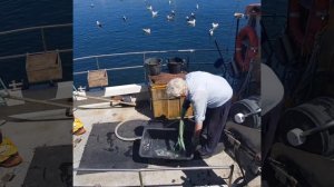 Дания летом🌍Остров Борнхольм 🌍Город Свеники🌍Лето2017