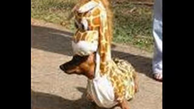 The Space Giraffe: The Beginning смотреть онлайн