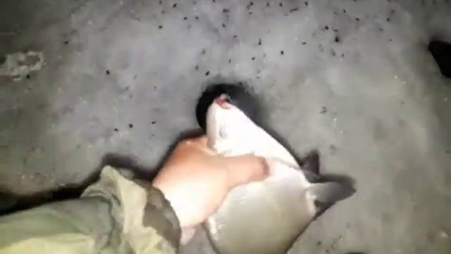 Лещ бешеный клев зимняя рыбалка смотреть онлайн