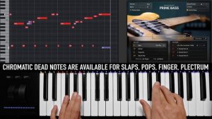 SESSION BASSIST — PRIME BASS Walkthrough | Native Instruments