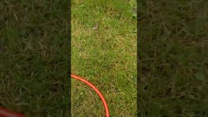 NORDBERG 2330 BC, настройка установки для слива масла