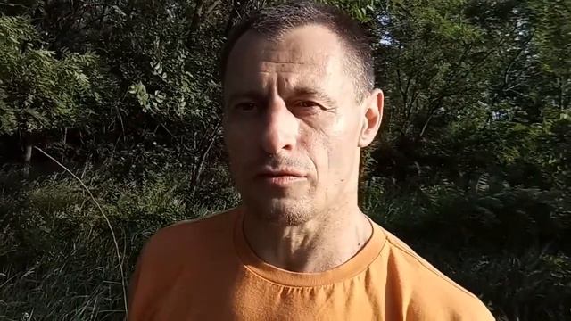 Почему Красота пока не спасла Мир Что есть Гармония определение Наилучшее сочетание частей целого смотреть онлайн