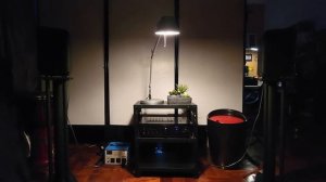 Wharfdale D320 x Denon PMA-600NE (Sound demo)