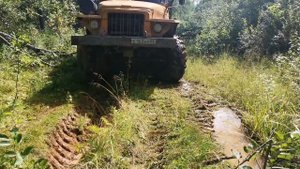 Уралы на бездорожье!!! Испытания кразовских колёс!!!