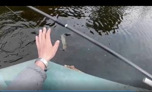 Лучший поводок для ловли хищника !