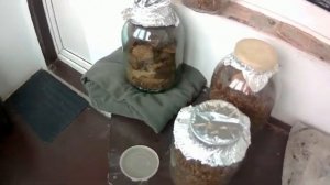 Отволаживание табачного листа.ч.1.mp4