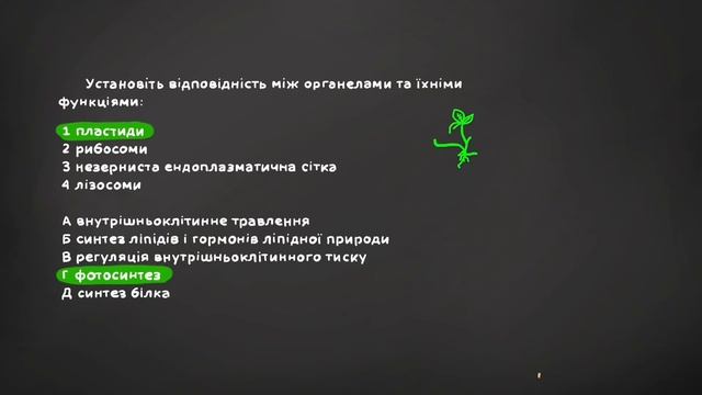 Разбор тестов ЗНО по биологии • самые частые тесты по клетке•