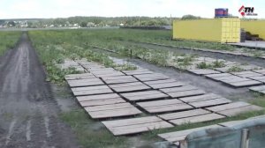 Ферма улиток под Харьковом / Snails House Farm / Разведение улиток в Украине
