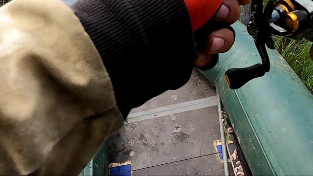 змееголов порадовал