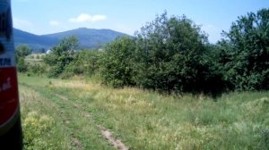 Карпатские горы из окна поезда