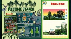 "Лес", Окружающий мир 4 класс ч.1, с.61-68, Планета знаний.