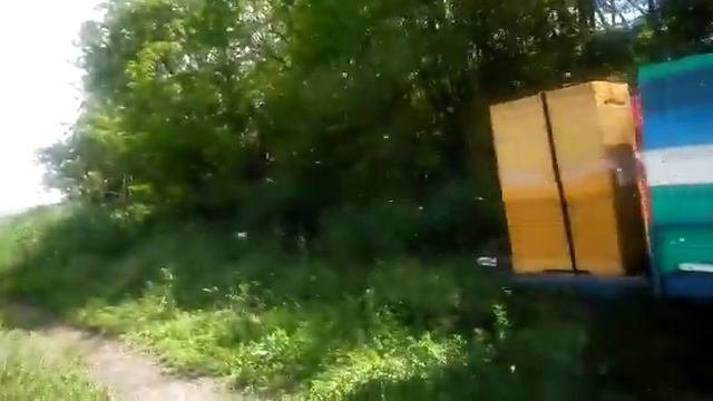 Кочевая пасека на белой акации май 2020