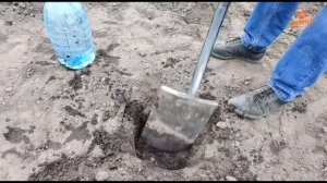 Простейший капельный полив из пластиковой бутыли.
