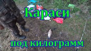 Ловля карася на фидер. Едем за карасем.