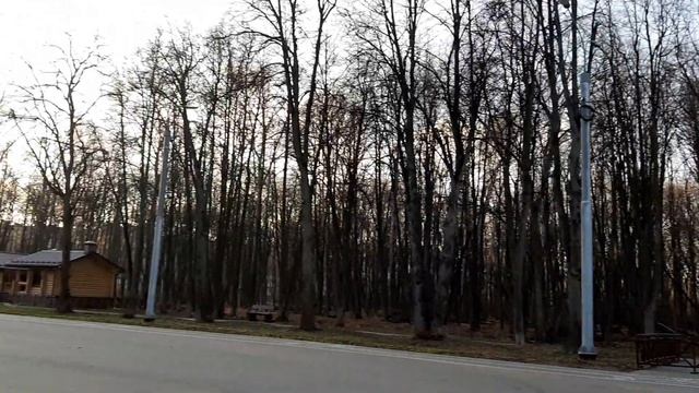 Новогодняя столица России 2020 - Рязань. В Лесопарке установили новогоднюю ёлку.