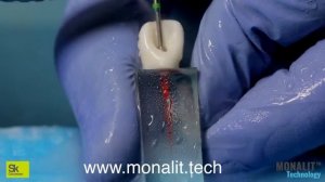 MONALIT Technology