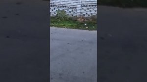 Обзор Рено Меган 3 от владельца
