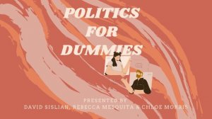 POLITICS FOR DUMMIES: THE ATLANTA SPA SHOOTINGS