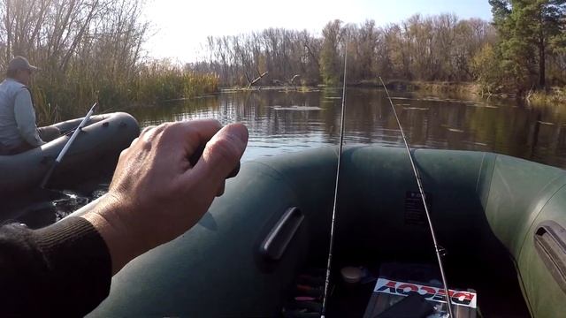 ГОЛОДНАЯ ЩУКА клюет на ВСЁ! Осенняя рыбалка на реке ПСЕЛ и сбор маслят смотреть онлайн