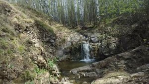 Караканский бор - ligrtour.nsk