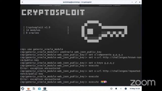 Introduction to Cryptographic Attacks смотреть онлайн