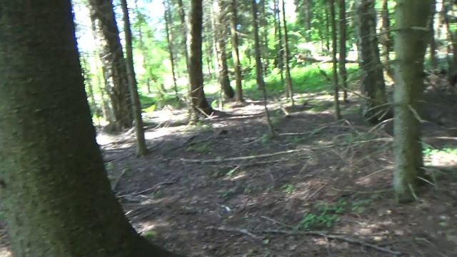 Дальний поход за грибами и первый Белый гриб 2017. смотреть онлайн