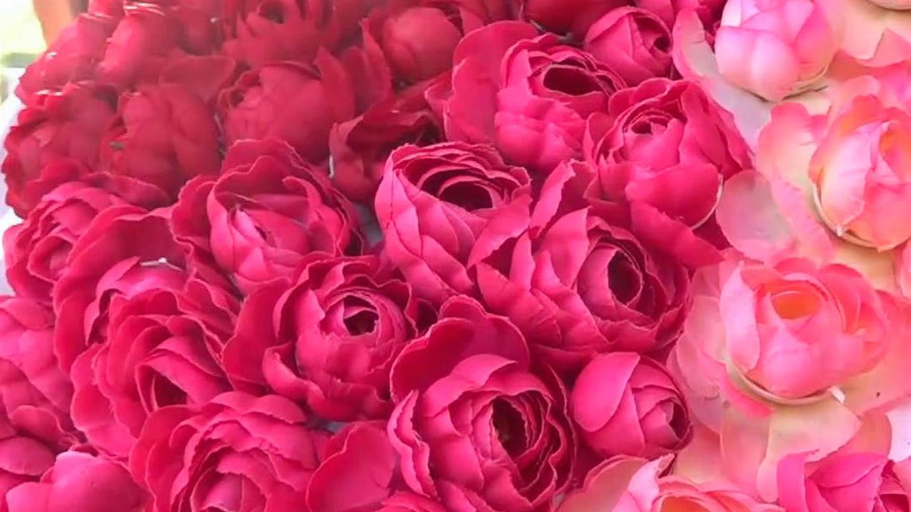 В Белгороде одно из самых ярких событий осени - фестиваль цветов