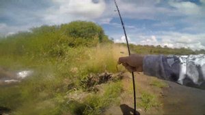 РЫБАЛКА на большерота / Рыбалка в Амурской области / Таких "кабанов" я еще не ловил