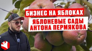 Бизнес на яблоках | Яблоневые сады Антона Пермякова | КУЛЬТИВАТОР