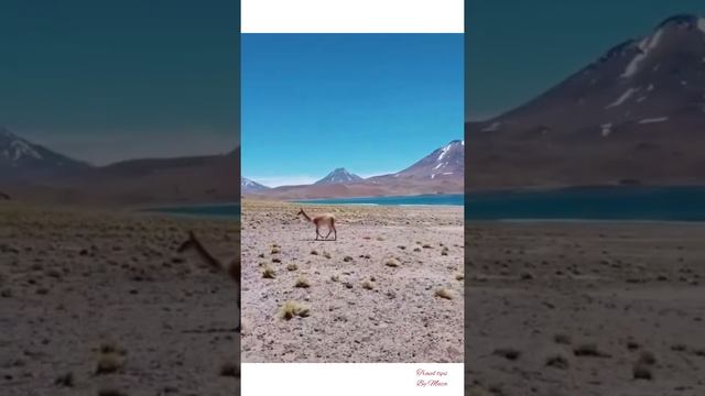 Atacama Desert, Chile || most beautiful places in world || Travel tips by Muza